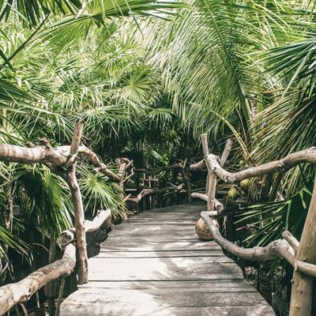 Azulik Tulum walkway