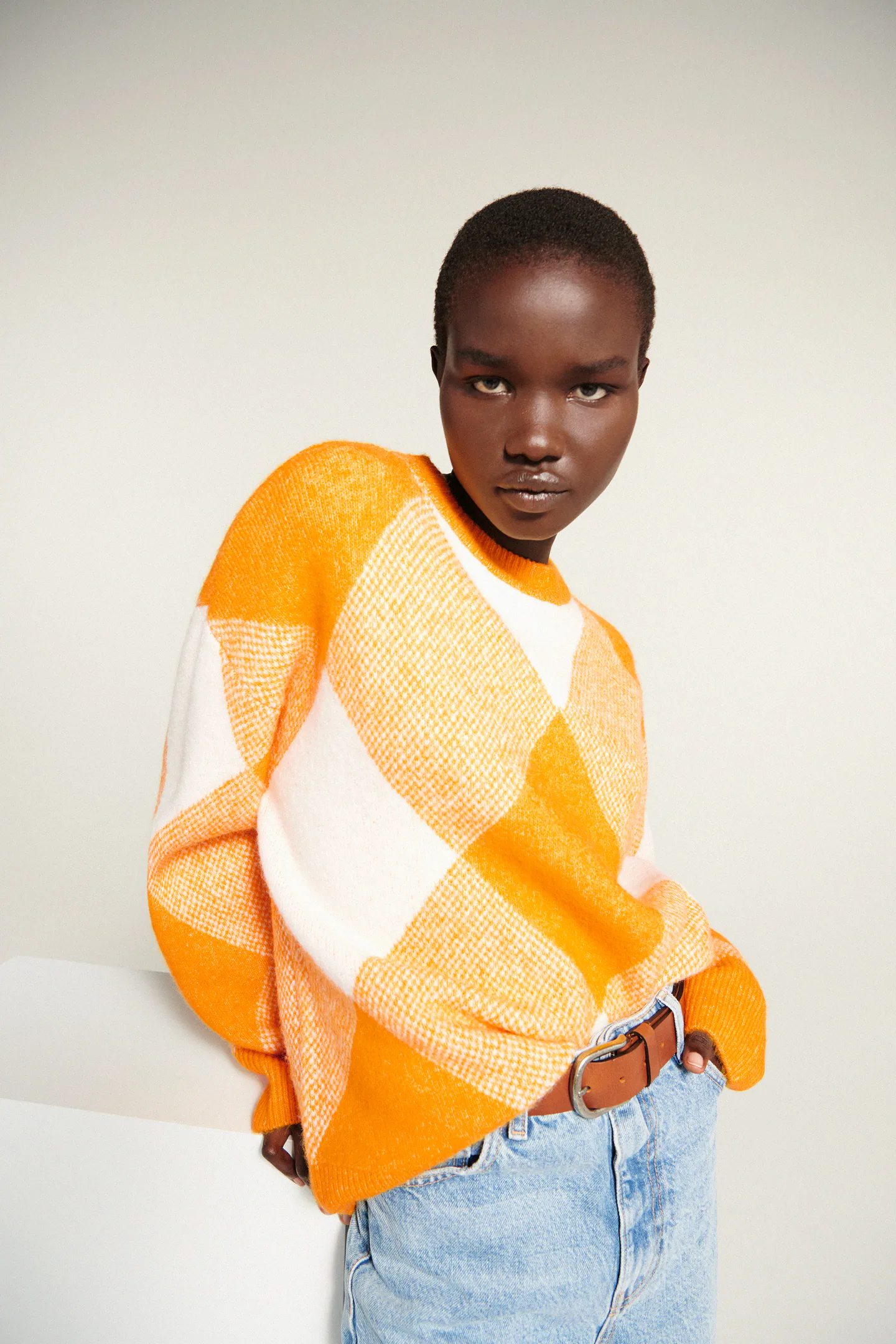 Zara Argyle Jacquard Knit Sweater